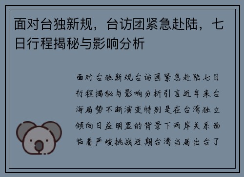 面对台独新规，台访团紧急赴陆，七日行程揭秘与影响分析